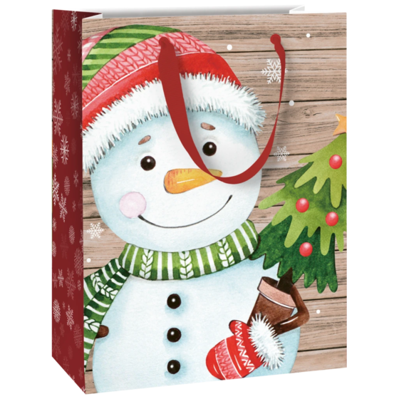 Geschenktasche „Alwin“ | 23×30×13 cm, 180 g/m², mehrfarbig