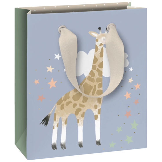 Geschenktasche „Mimmo“ | 18×21×8 cm, 250 g/m², mehrfarbig