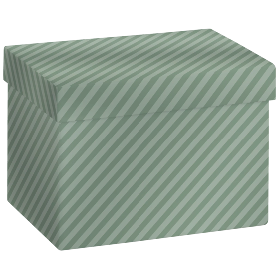Boîte cadeau « Stribe » | 12×6×16,5 cm, sauge
