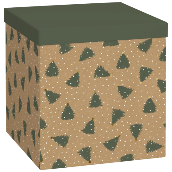 Geschenkbox „Kian“ | 23×24×23 cm, 120 g/m², dunkelgrün/braun