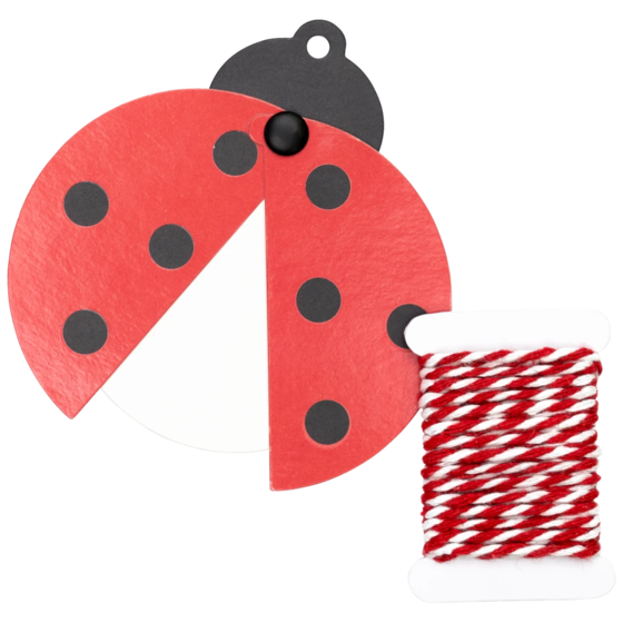 Geschenkanhänger-Set „Adela“ | rot