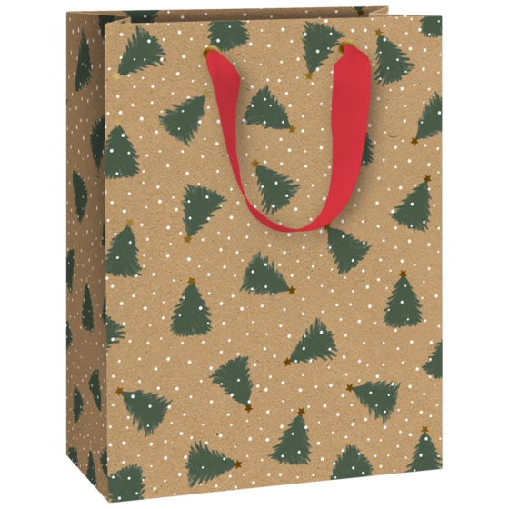 Geschenktasche „Kian“ | 23×30×13 cm, 230 g/m², braun
