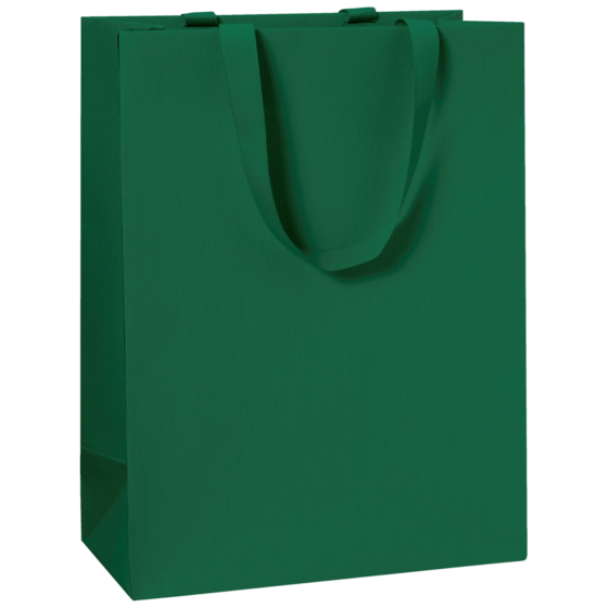 Geschenktasche One Colour | 23×30×13 cm, 250 g/m², dunkelgrün