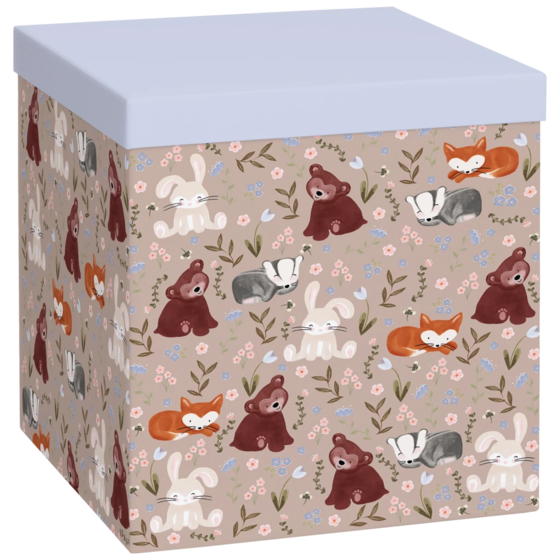 Gift Box “Momo” | 23×24×23 cm, 120 gsm, light green