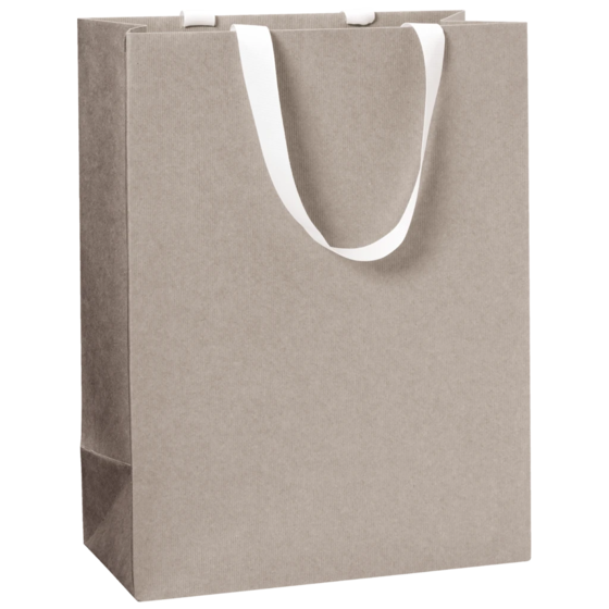 Geschenktasche One Colour | 23×30×13 cm, 250 g/m², hellgrau