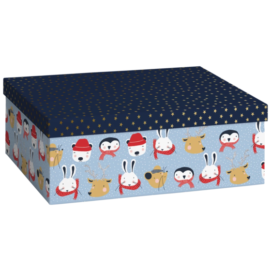 Geschenkbox „Malik“ | 24×12×33 cm, 120 g/m², hellblau
