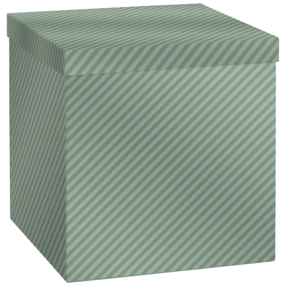 Boîte cadeau « Stribe » | 23×24×23 cm, 120 g/m², sauge