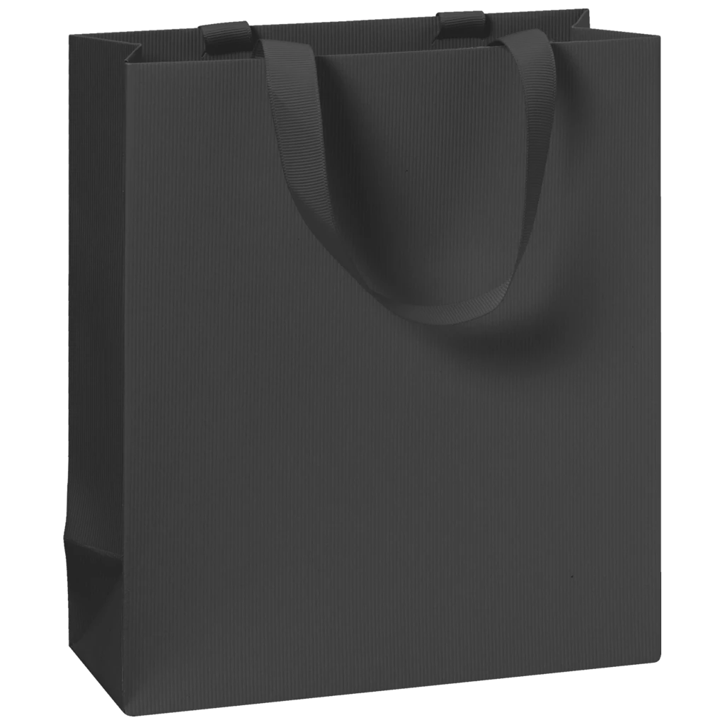 Geschenktasche One Colour | 18×21×8 cm, 250 g/m², schwarz