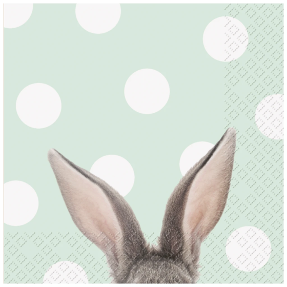 Servietten „Yon“ | 33×33 cm, mint, 20 Stück