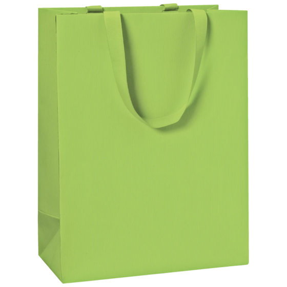 Geschenktasche One Colour | 23×30×13 cm, 250 g/m², hellgrün