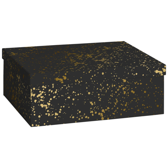 Geschenkbox „Sprenkel“ | 24×12×33 cm, 120 g/m², schwarz