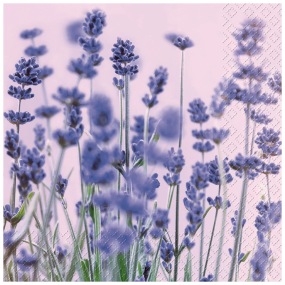 Serviettes de table | 33×33 cm, violet, 20 pièce(s)