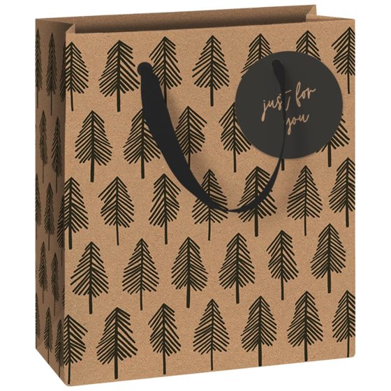 Pochette cadeau « Weren » | 18×21×8 cm, 250 g/m², noir