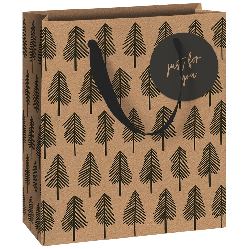 Geschenktasche „Weren“ | 18×21×8 cm, 250 g/m², schwarz