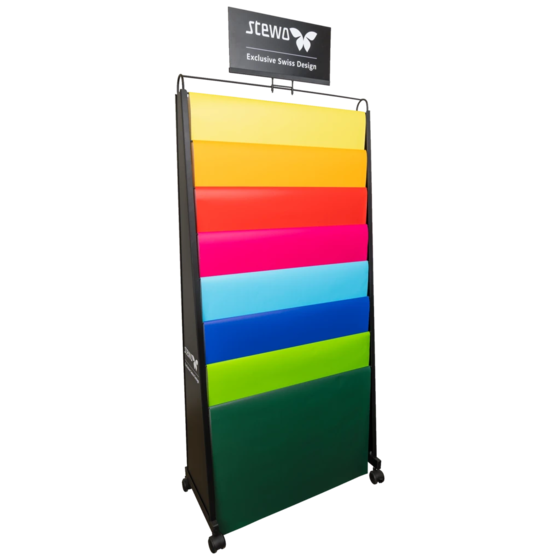 Bodendisplay „BG-Leiter 70x100“ | 750×1780×360 mm, RAL 9005, schwarz