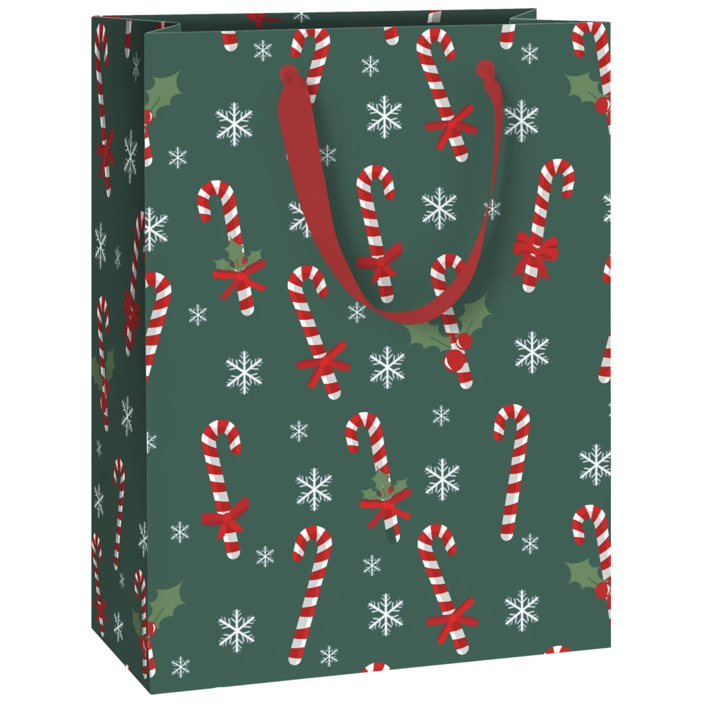 Gift Bag “Tika” | 23×30×13 cm, 180 gsm, green