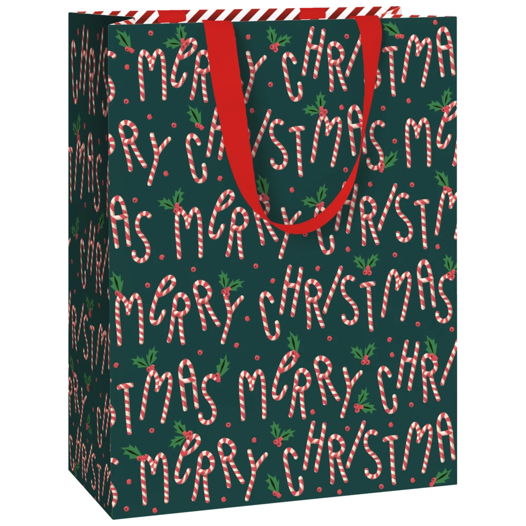 Gift Bag “Wim green dark” | 23×30×13 cm, 230 gsm, dark green