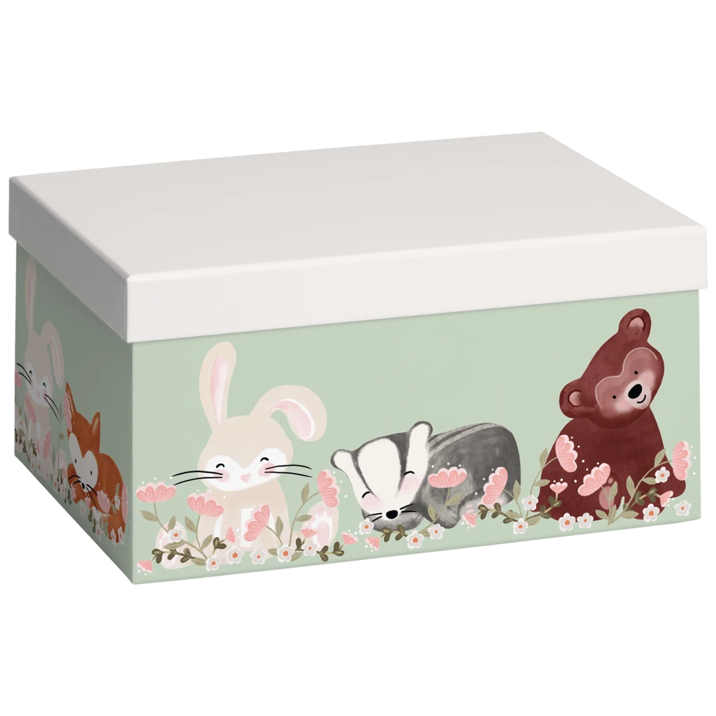 Boîte cadeau « Momo » | 16×12×24 cm, 120 g/m², vert clair