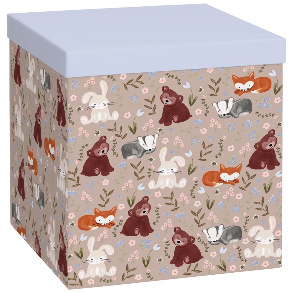 Boîte cadeau « Momo » | 23×24×23 cm, 120 g/m², vert clair