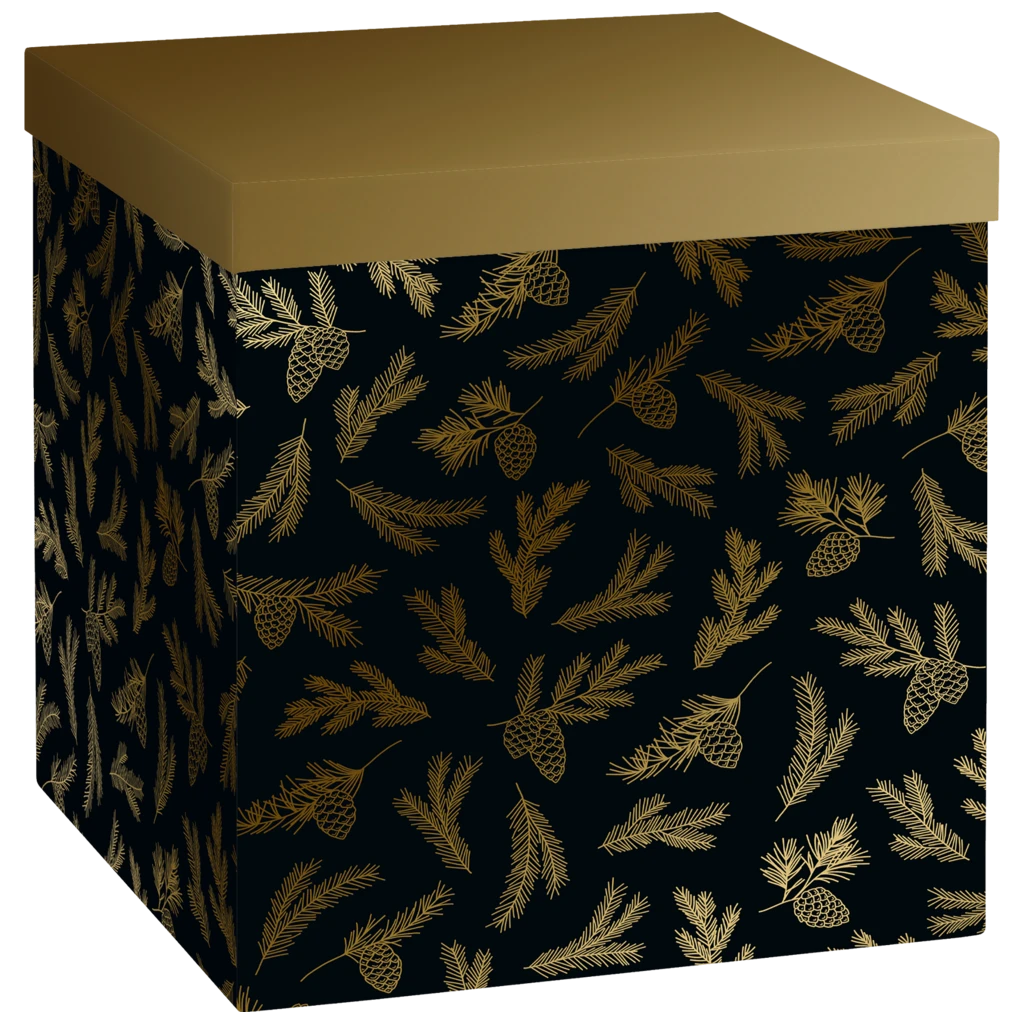 Gift Box “Mariola” | 23×24×23 cm, 120 gsm, black/gold